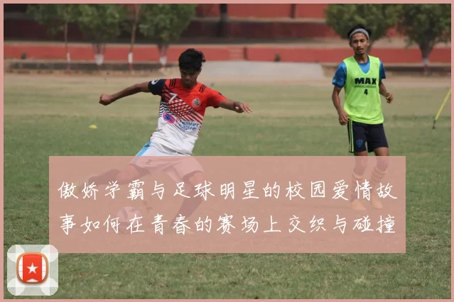 傲娇学霸与足球明星的校园爱情故事如何在青春的赛场上交织与碰撞