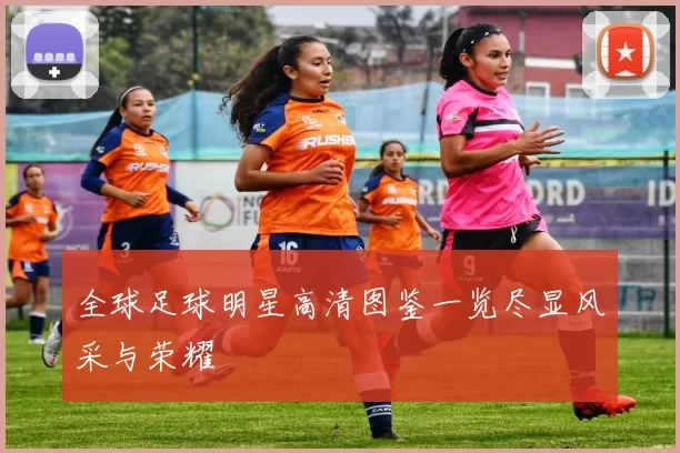 全球足球明星高清图鉴一览尽显风采与荣耀