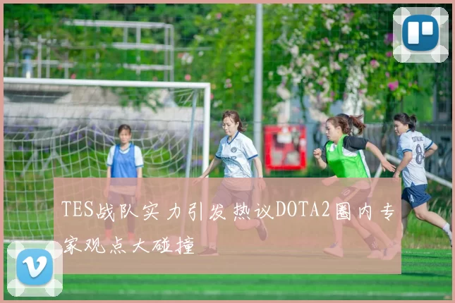 TES战队实力引发热议DOTA2圈内专家观点大碰撞