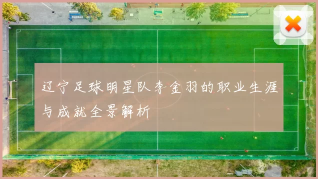 辽宁足球明星队李金羽的职业生涯与成就全景解析
