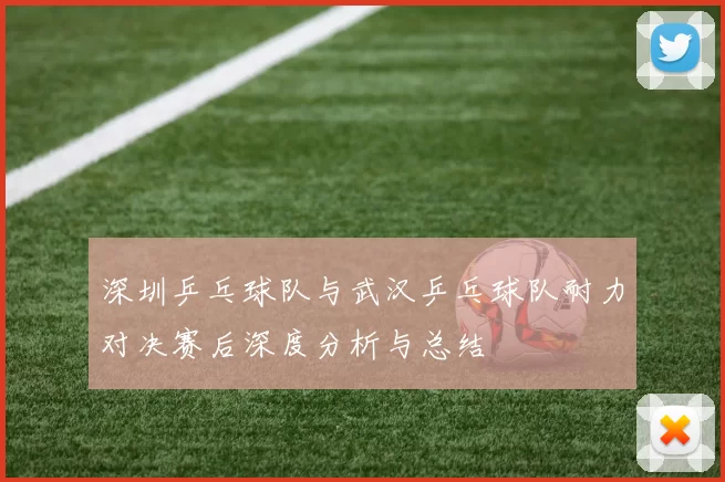 深圳乒乓球队与武汉乒乓球队耐力对决赛后深度分析与总结