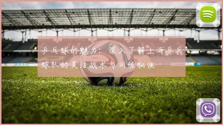 乒乓球的魅力：深入了解上海乒乓球队的灵活战术与训练秘诀