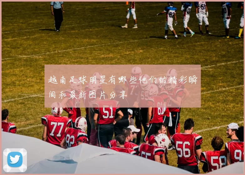 越南足球明星有哪些他们的精彩瞬间和最新图片分享