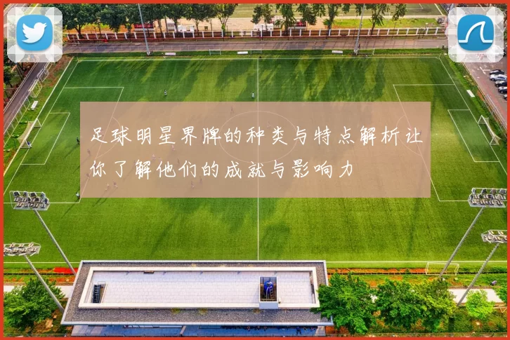 足球明星界牌的种类与特点解析让你了解他们的成就与影响力