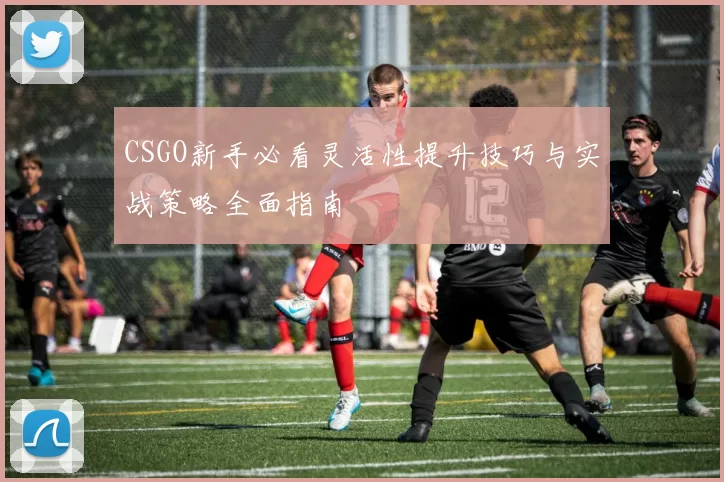 CSGO新手必看灵活性提升技巧与实战策略全面指南