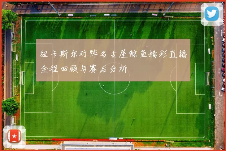 纽卡斯尔对阵名古屋鲸鱼精彩直播全程回顾与赛后分析